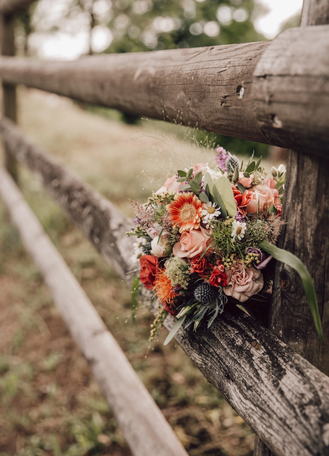 Fotografie Freiraum, Hochzeitsfotografie Paar